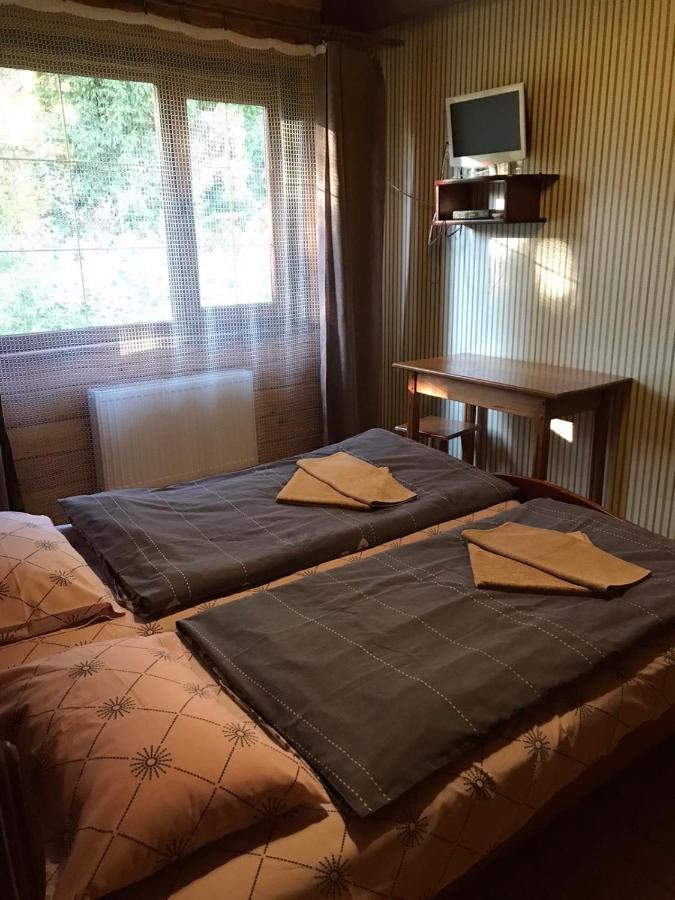 Baza Vidpochynku Ilz Villa Szlavszke Kültér fotó